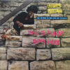 James Brown Plays And Directs The James Brown Band ‎– Sho Is Funky Down Here - Lp (2019)RSD