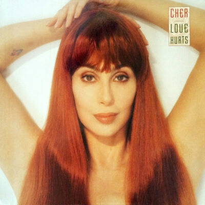 Cher ‎– Love Hurts - Lp brugt (1991)