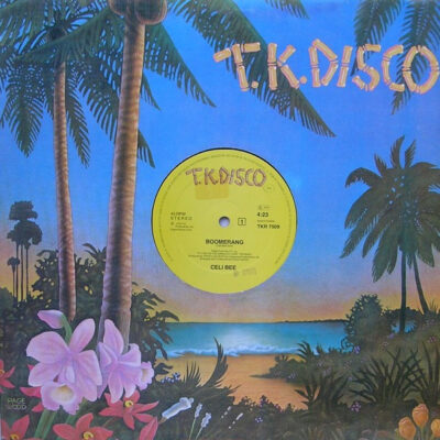 Celi Bee – Boomerang - 12" Maxi Single Brugt (1978)