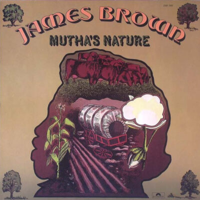 James Brown & The New J.B.'s – Mutha's Nature - Lp brugt (1977)