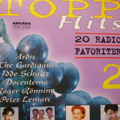 Blandet Artister - Topp Hits 2 ( 20 Radio Favoriter ) - Cd Brugt (1995)