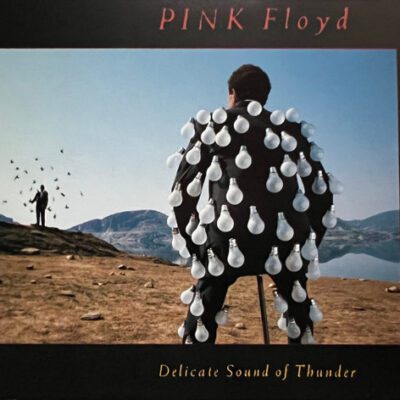 Pink Floyd ‎– Delicate Sound Of Thunder - Cd Brugt (1988)