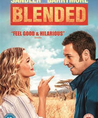 Blended - DVD Film Brugt (2014)