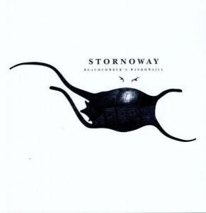 Stornoway ‎– Beachcomber's Windowsill - Lp Brugt (2010)